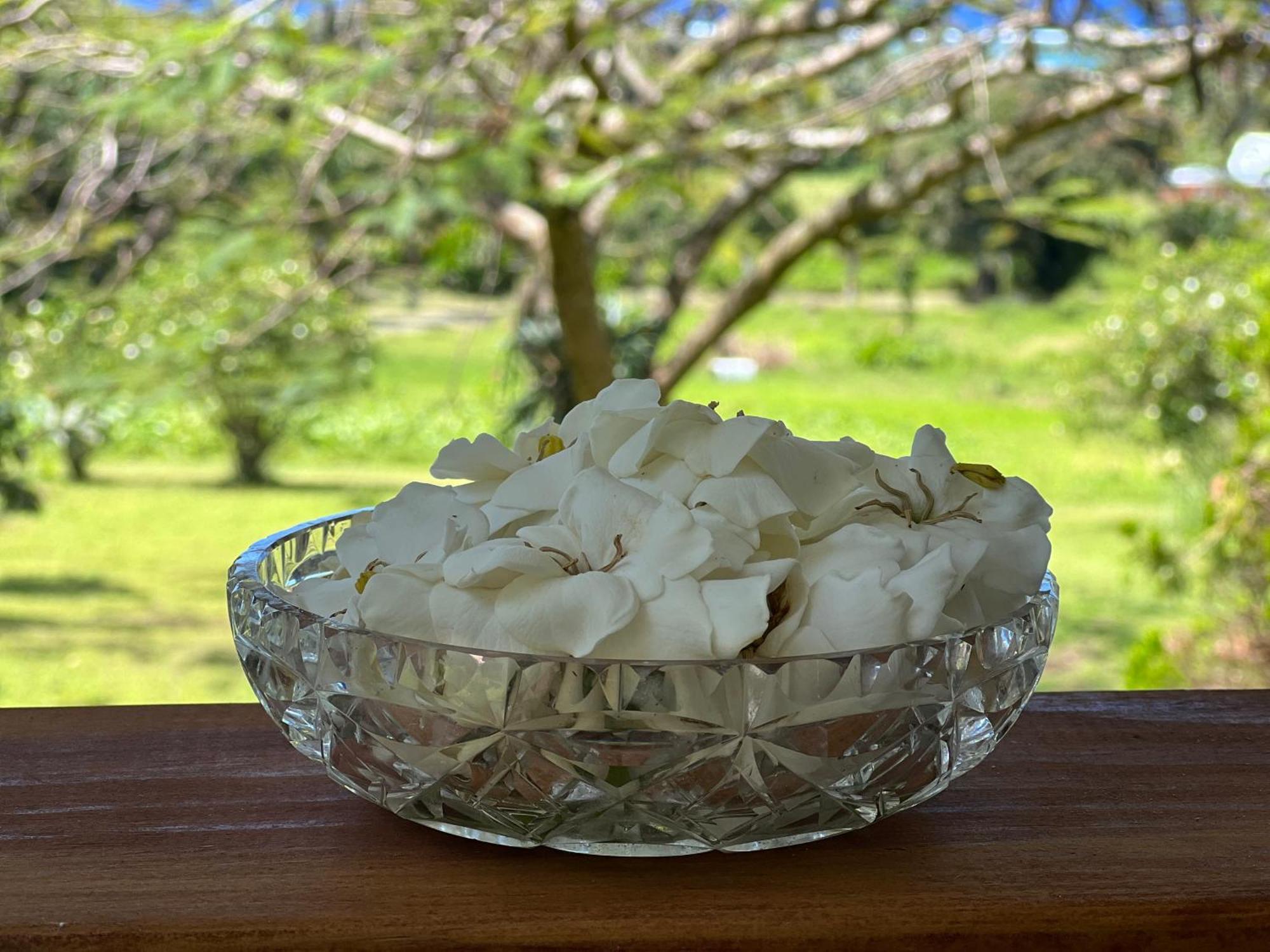Avocado Retreat Villa Rarotonga Exteriör bild